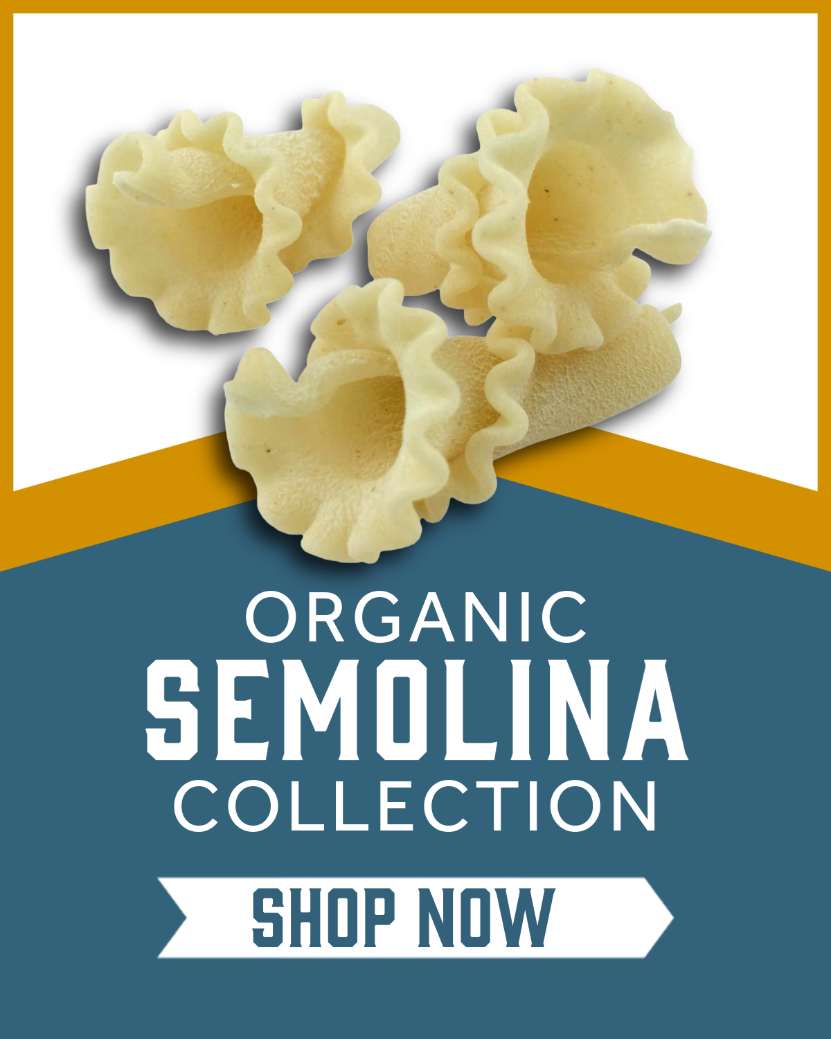 Semolina Trumpets pasta on a blue and goldbackground with 'Organic Semolina Collection.'  and 'Shop Now' text.