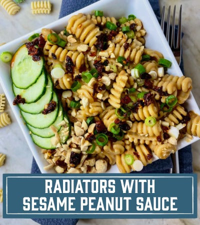 Sfoglini Pasta Recipe: cold pasta dish with sesame peanut sauce, cucumbers, and peanuts on a white plate. With text overlay " Radiators with sesame peanut sauce"