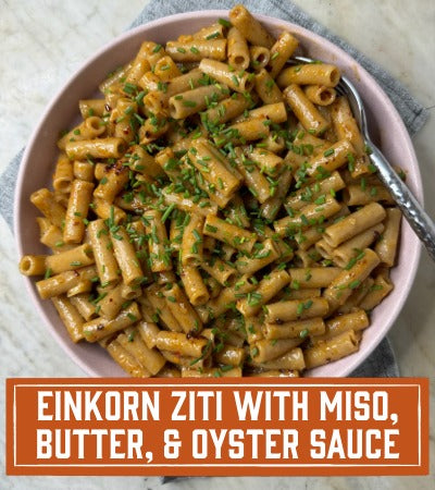 Sfoglini Pasta Recipe: Bowl of einkorn ziti with miso, butter, and oyster saucein pink bowl  on a textured surface. With text overlay "einkorn ziti with miso, butter, and oyster sauce"