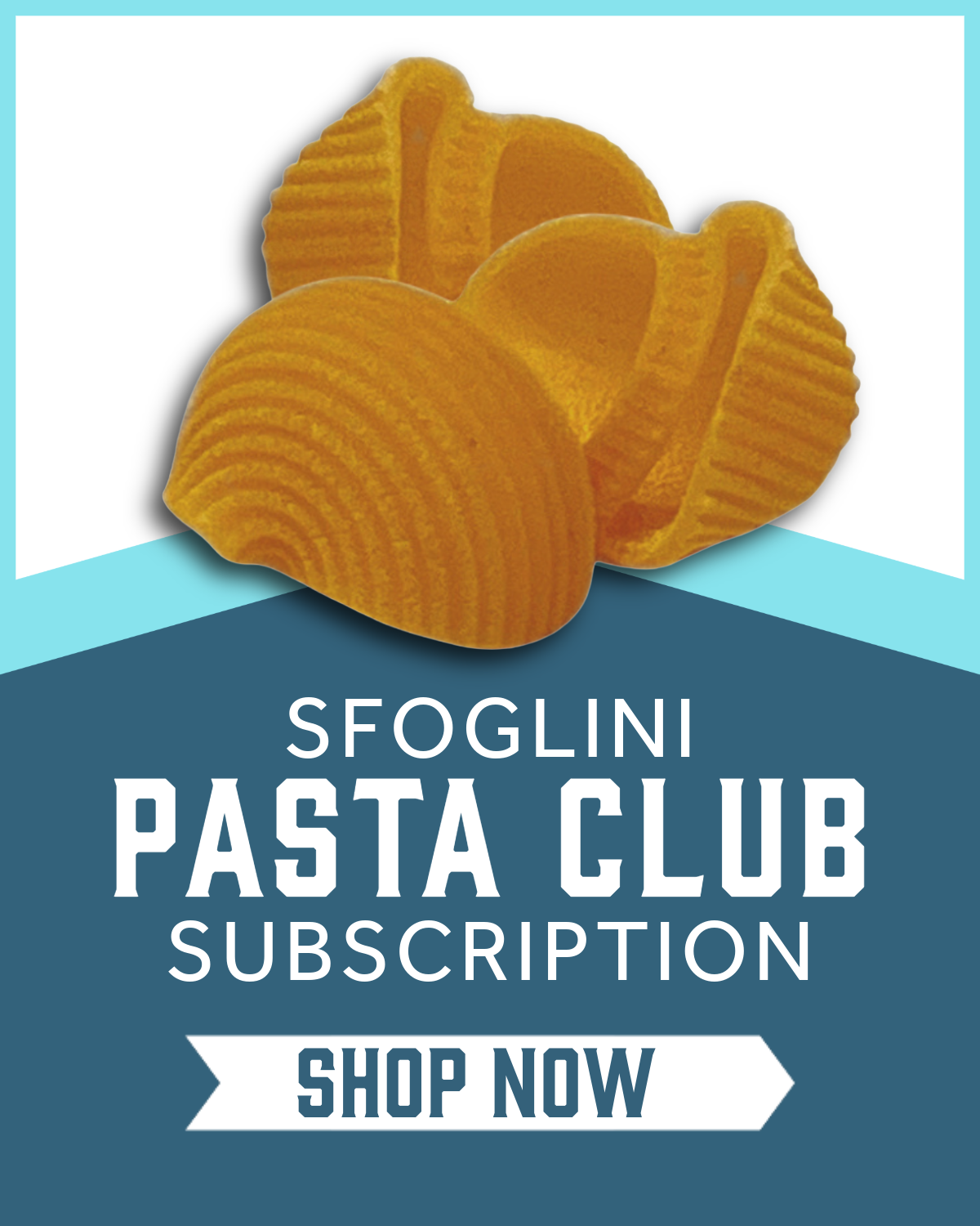Limited-edition pasta Calabrian Lumache pasta on a blue and light blue background with 'Sfoglini Pasta Club Subscription'  and 'Shop Now' text.