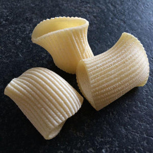 Sfoglini Semolina Rigatoni Organic Pasta 