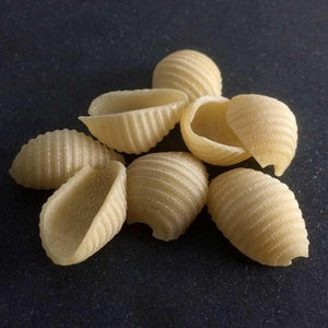 Sfoglini Semolina Small Shells Organic Pasta
