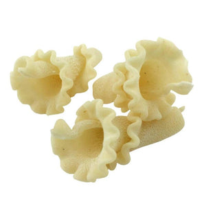 Sfoglini Semolina Trumpets Organic Pasta