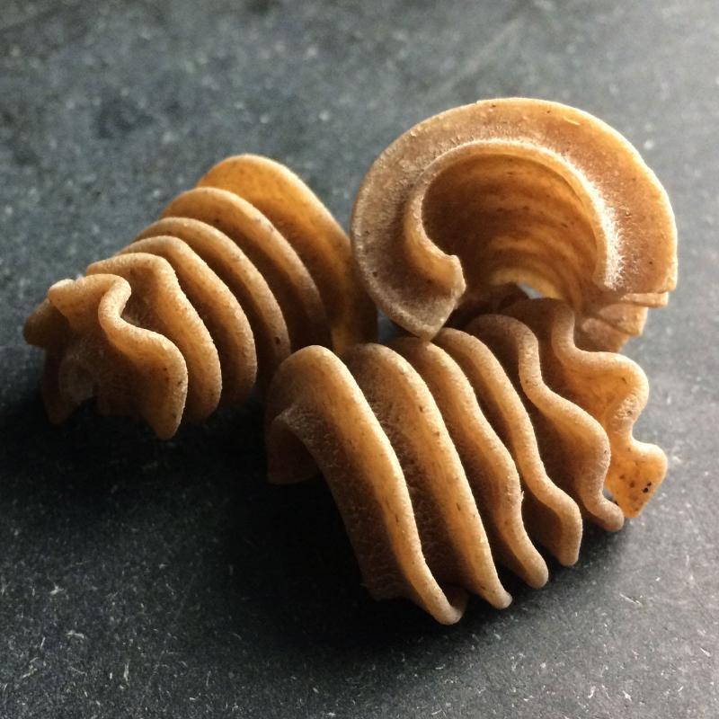 Whole Grain Blend Radiator Pasta - Sfoglini