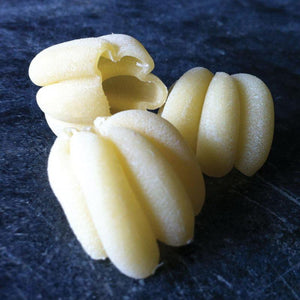 Sfoglini Semolina Zucca  Organic Pasta 